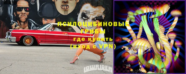бутират Бородино