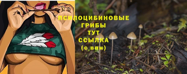 дмт Бронницы