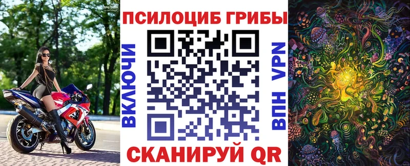 Купить где  Константиновск  Галлюциногенные грибы Cubensis 